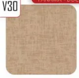 2029 v30 Frank - Desenli Dak