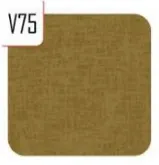 2029 v75 Frank - Desenli Dak